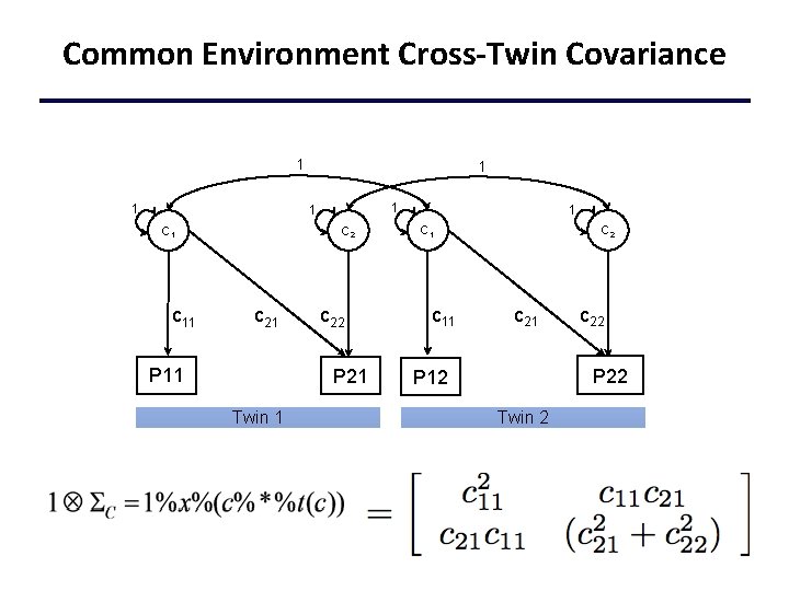Common Environment Cross-Twin Covariance 1 1 1 C 1 c 11 C 2 c
