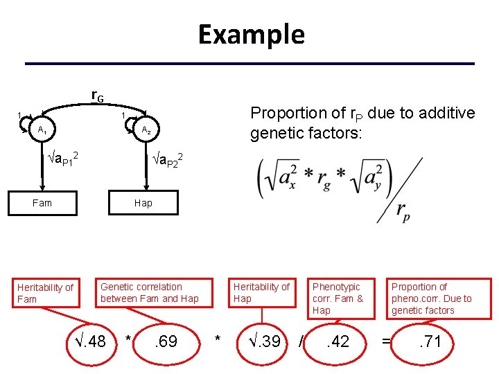 Example r. G 1 Proportion of r. P due to additive genetic factors: 1