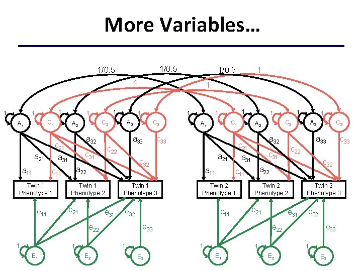 More Variables… 1/0. 5 1 1 C 1 A 1 a 11 a 32