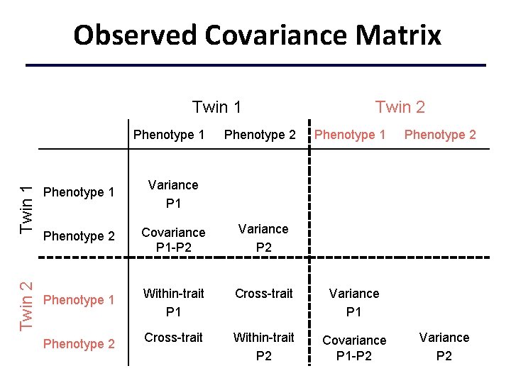 Observed Covariance Matrix Twin 1 Twin 2 Twin 1 Phenotype 2 Twin 2 Phenotype