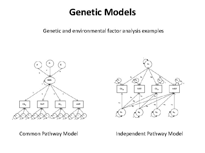 Genetic Models Genetic and environmental factor analysis examples Common Pathway Model Independent Pathway Model