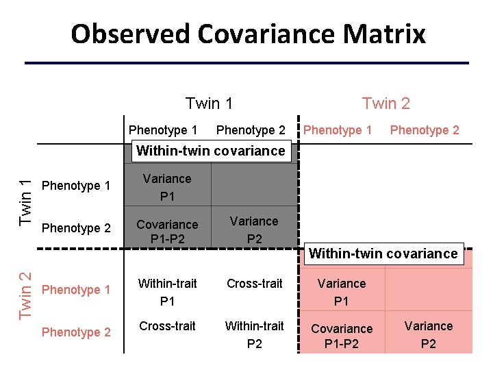 Observed Covariance Matrix Twin 1 Phenotype 2 Twin 2 Phenotype 1 Phenotype 2 Twin