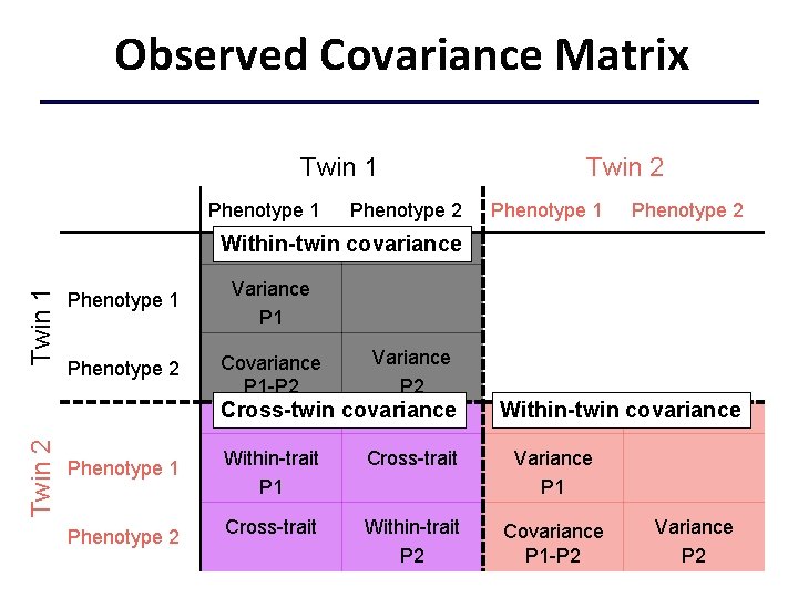 Observed Covariance Matrix Twin 1 Phenotype 2 Twin 2 Phenotype 1 Phenotype 2 Twin