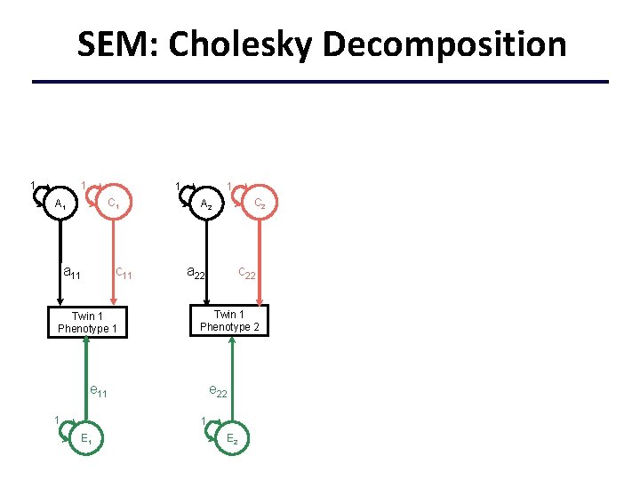 SEM: Cholesky Decomposition 1 1 C 1 A 1 c 11 a 11 Twin