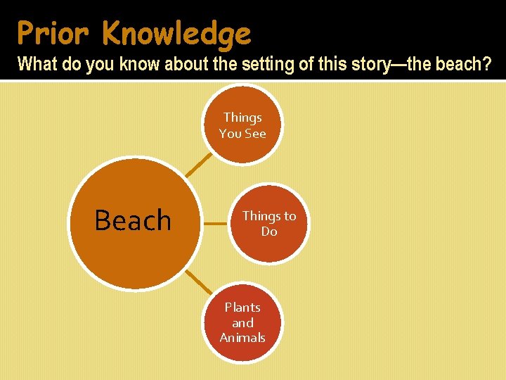 Prior Knowledge What do you know about the setting of this story—the beach? Things