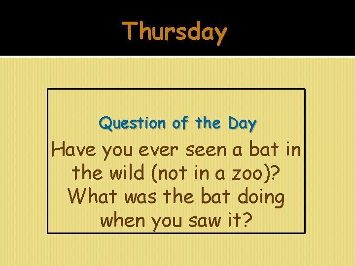 Thursday Question of the Day Have you ever seen a bat in the wild
