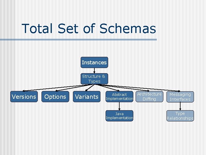 Total Set of Schemas Instances Structure & Types Versions Options Variants Abstract Implementation Java