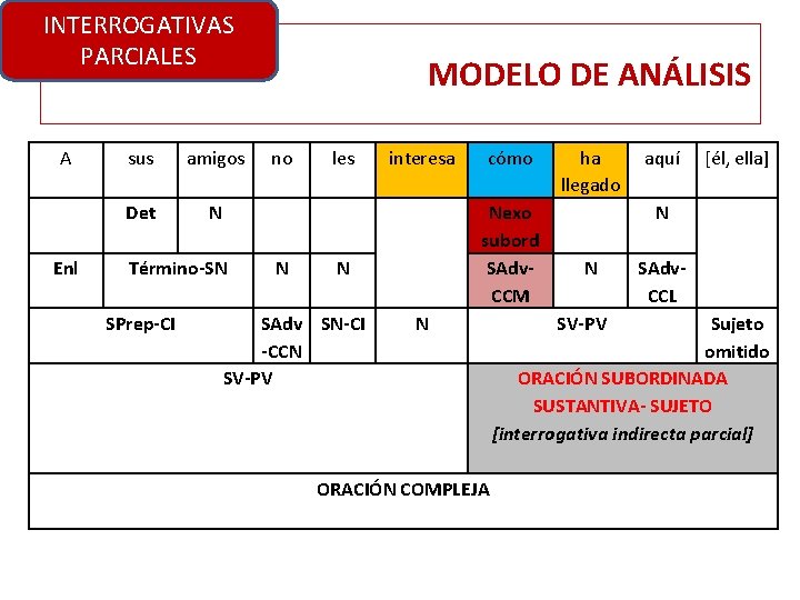 INTERROGATIVAS PARCIALES A Enl sus amigos Det N Término-SN SPrep-CI MODELO DE ANÁLISIS no