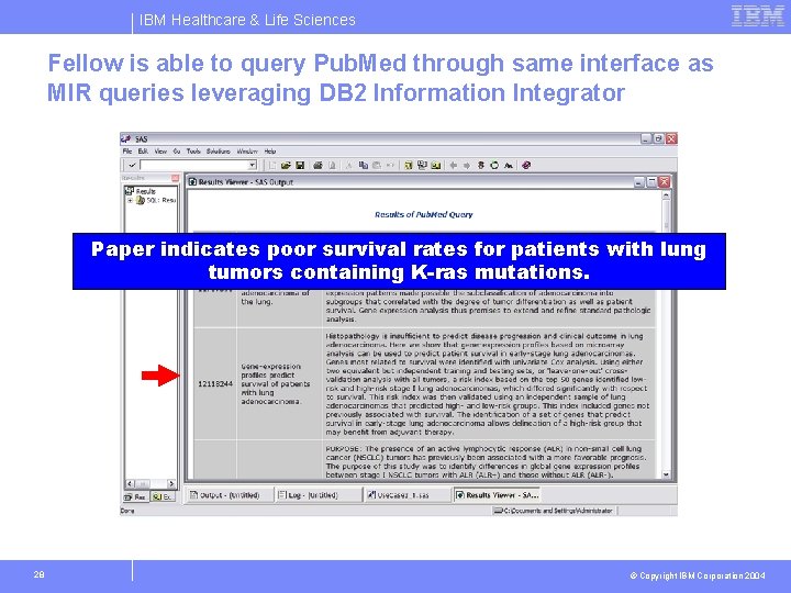 IBM Healthcare & Life Sciences Fellow is able to query Pub. Med through same