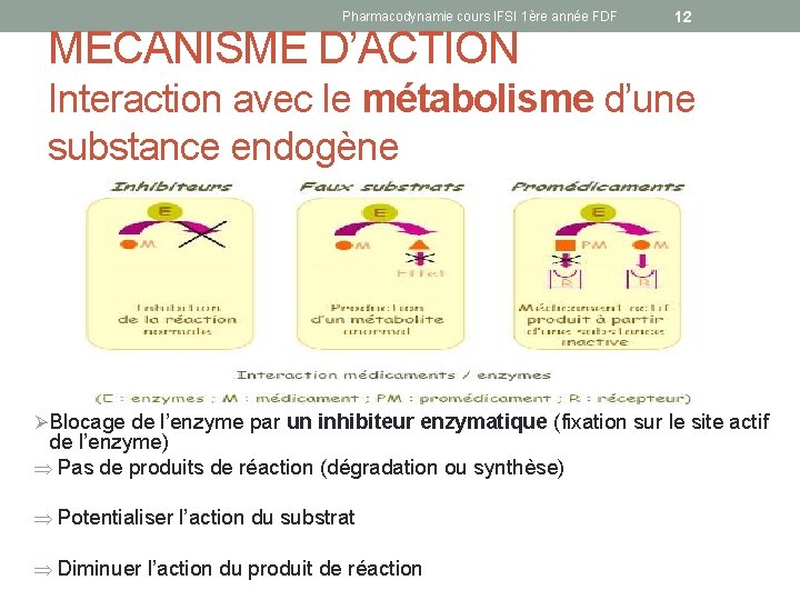 Pharmacodynamie cours IFSI 1ère année FDF MECANISME D’ACTION 12 Interaction avec le métabolisme d’une