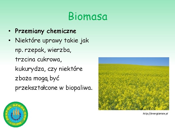 Biomasa • Przemiany chemiczne • Niektóre uprawy takie jak np. rzepak, wierzba, trzcina cukrowa,