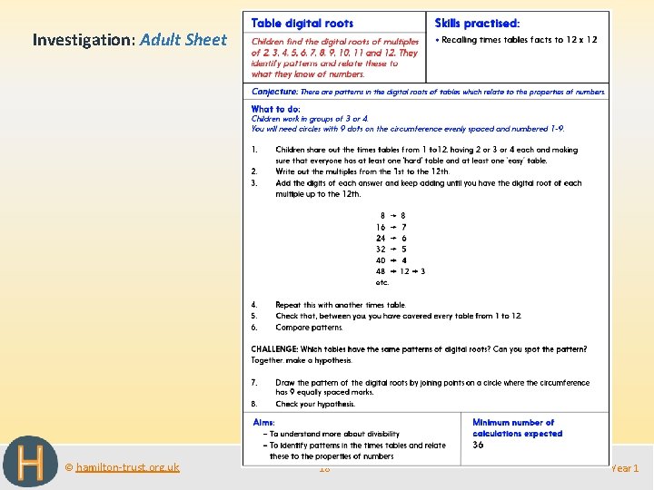 Investigation: Adult Sheet © hamilton-trust. org. uk 18 Year 1 