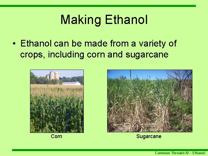 Making Ethanol • Ethanol can be made from a variety of crops, including corn