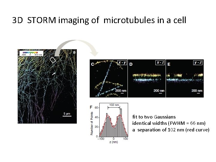 3 D STORM imaging of microtubules in a cell fit to two Gaussians identical