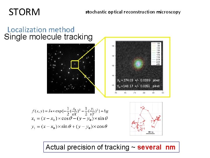 STORM stochastic optical reconstruction microscopy Localization method Single molecule tracking X 0 = 274.