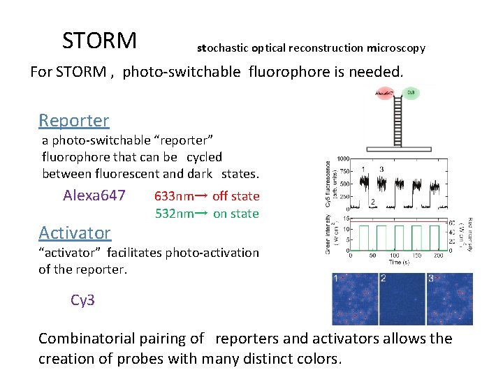 STORM stochastic optical reconstruction microscopy For STORM , photo-switchable fluorophore is needed. Reporter　　　　 a