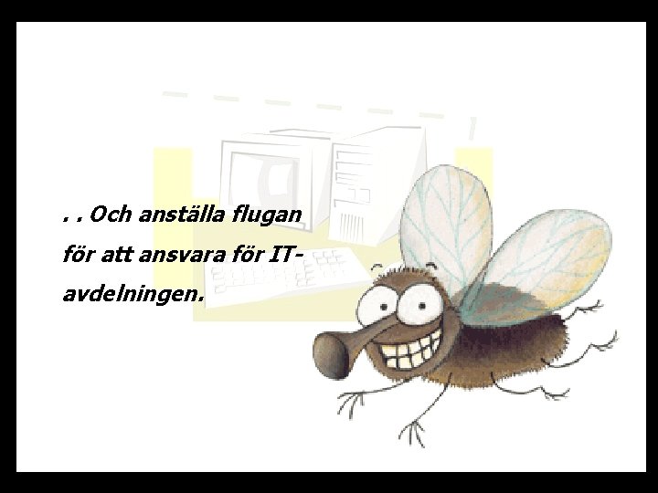 . . Och anställa flugan för att ansvara för ITavdelningen. 