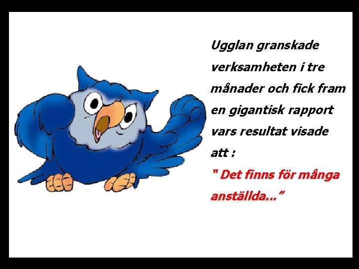 Ugglan granskade verksamheten i tre månader och fick fram en gigantisk rapport vars resultat