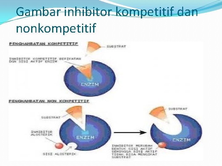 Gambar inhibitor kompetitif dan nonkompetitif 