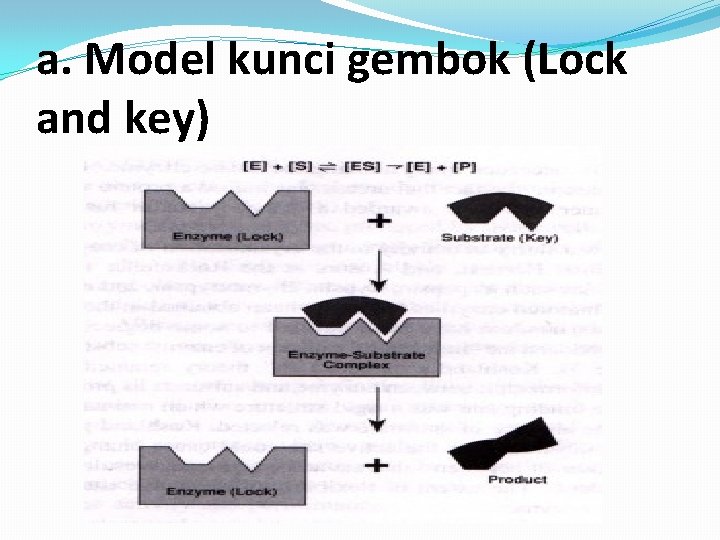 a. Model kunci gembok (Lock and key) 