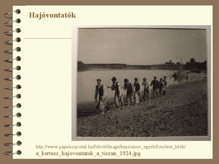 Hajóvontatók http: //www. papiruszportal. hu/feltolt/Image/kepzomuv_egyeb/foto/test_lelek/ a_kertesz_hajovontatok_a_tiszan_1924. jpg 