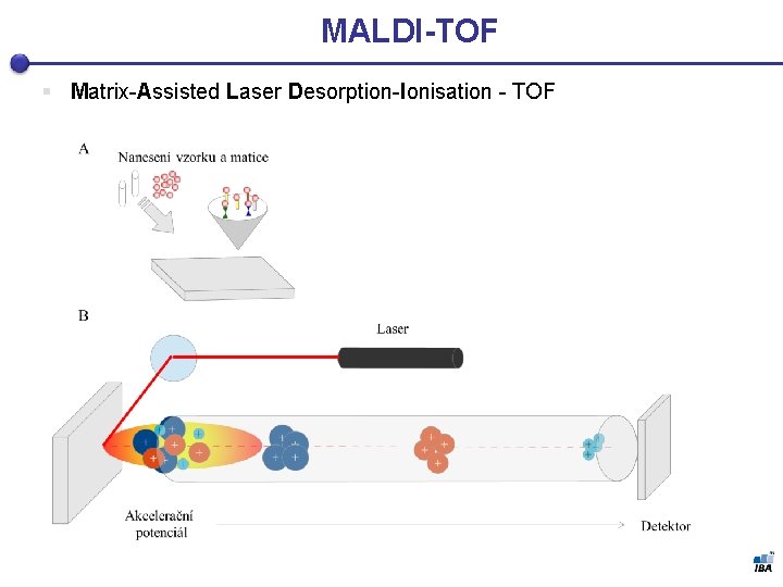 MALDI-TOF § Matrix-Assisted Laser Desorption-Ionisation - TOF 