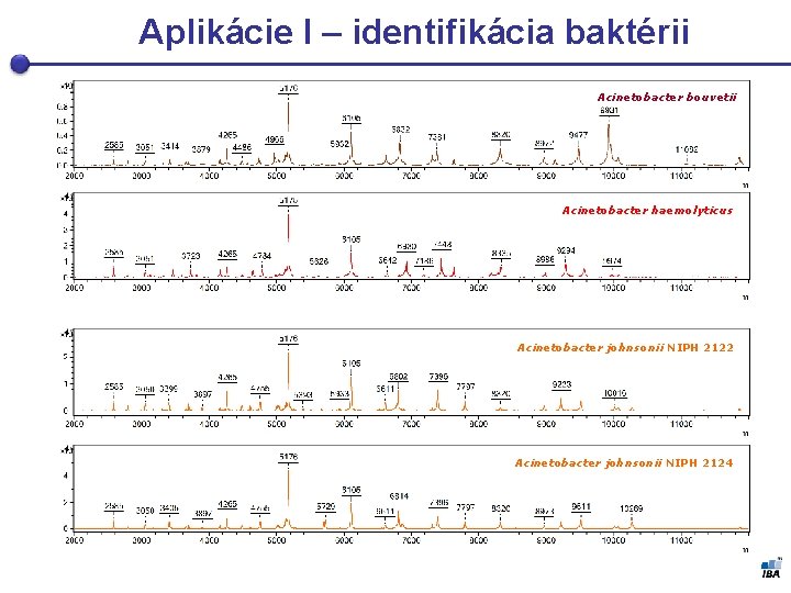 Aplikácie I – identifikácia baktérii Acinetobacter bouvetii Acinetobacter haemolyticus Acinetobacter johnsonii NIPH 2122 Acinetobacter