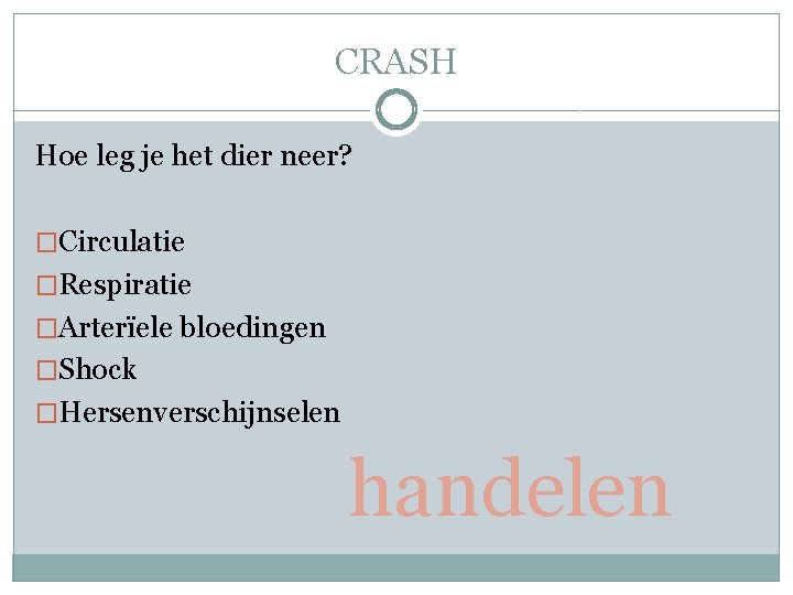 CRASH Hoe leg je het dier neer? �Circulatie �Respiratie �Arterïele bloedingen �Shock �Hersenverschijnselen handelen