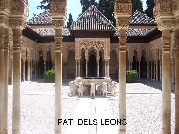 PATI DELS LEONS 