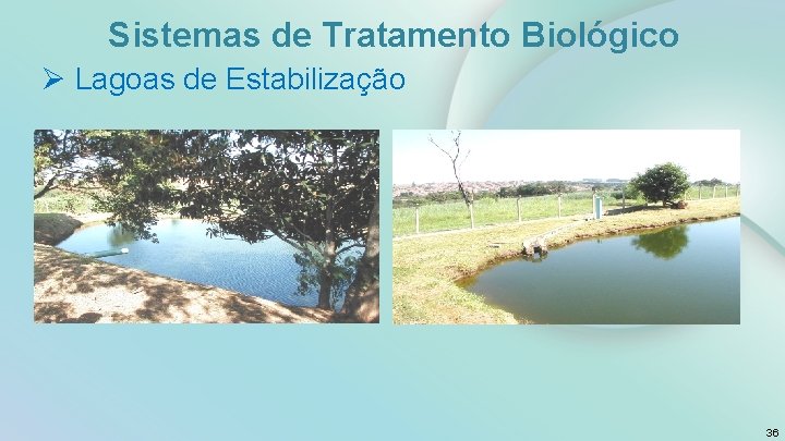 Sistemas de Tratamento Biológico Ø Lagoas de Estabilização 36 