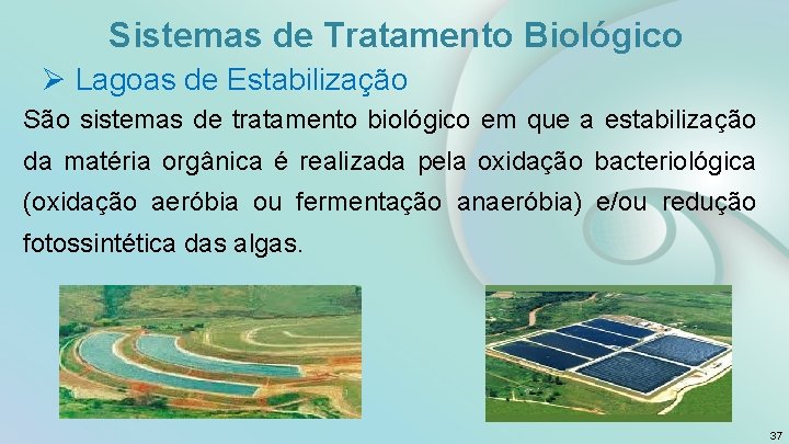 Sistemas de Tratamento Biológico Ø Lagoas de Estabilização São sistemas de tratamento biológico em