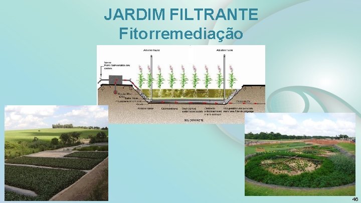 JARDIM FILTRANTE Fitorremediação 46 