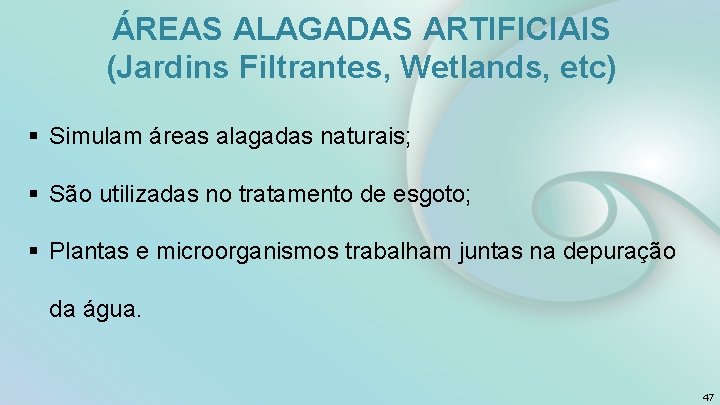 ÁREAS ALAGADAS ARTIFICIAIS (Jardins Filtrantes, Wetlands, etc) § Simulam áreas alagadas naturais; § São