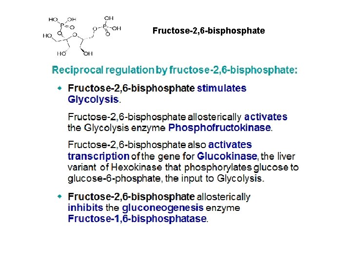 Fructose-2, 6 -bisphosphate 