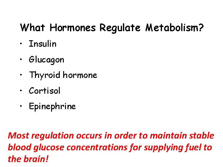 What Hormones Regulate Metabolism? • Insulin • Glucagon • Thyroid hormone • Cortisol •