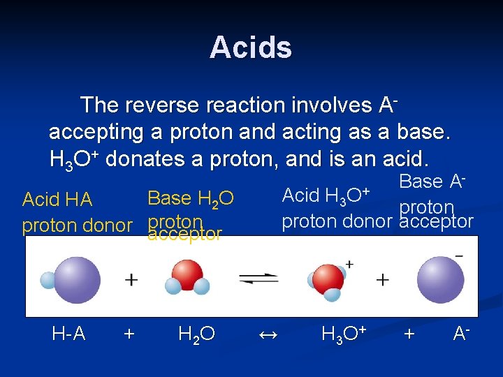 Acids The reverse reaction involves Aaccepting a proton and acting as a base. H