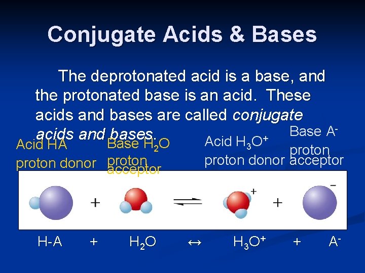 Conjugate Acids & Bases The deprotonated acid is a base, and the protonated base