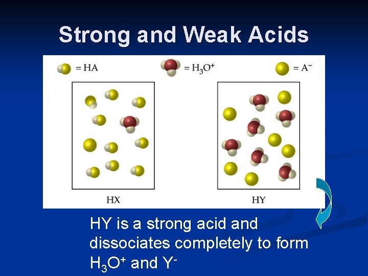 Strong and Weak Acids HY is a strong acid and dissociates completely to form