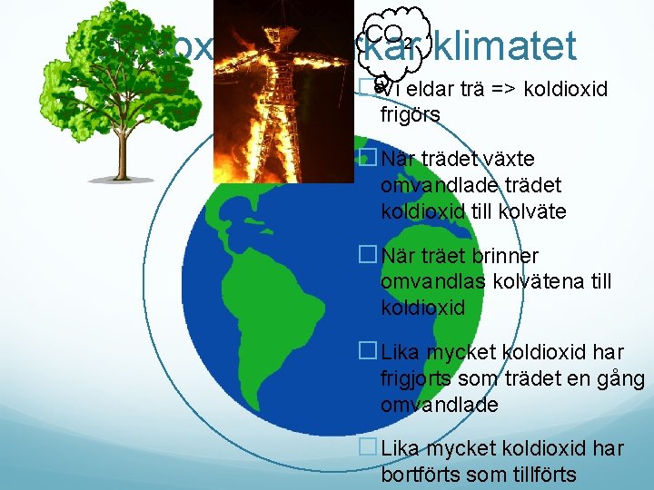 CO 2 Koldioxid påverkar klimatet �Vi eldar trä => koldioxid frigörs �När trädet växte