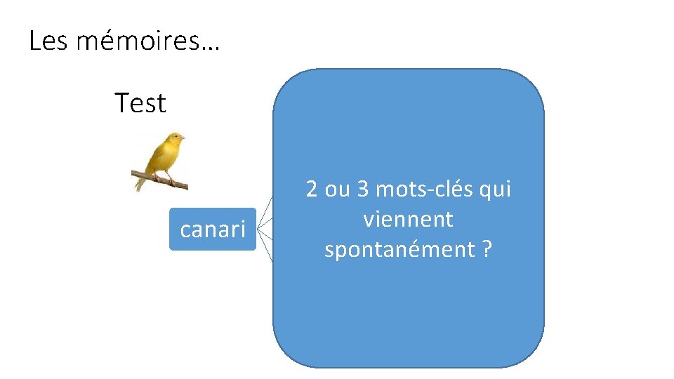 Les mémoires… Test jaune canari oeuf couleur 2 ou 3 mots-clés qui oiseau viennent