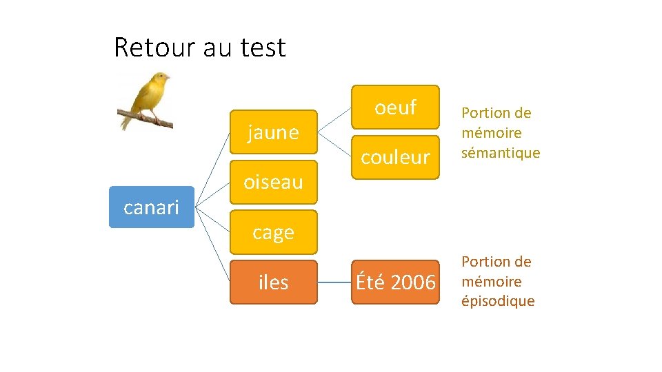Retour au test jaune canari oiseau oeuf couleur Portion de mémoire sémantique cage iles