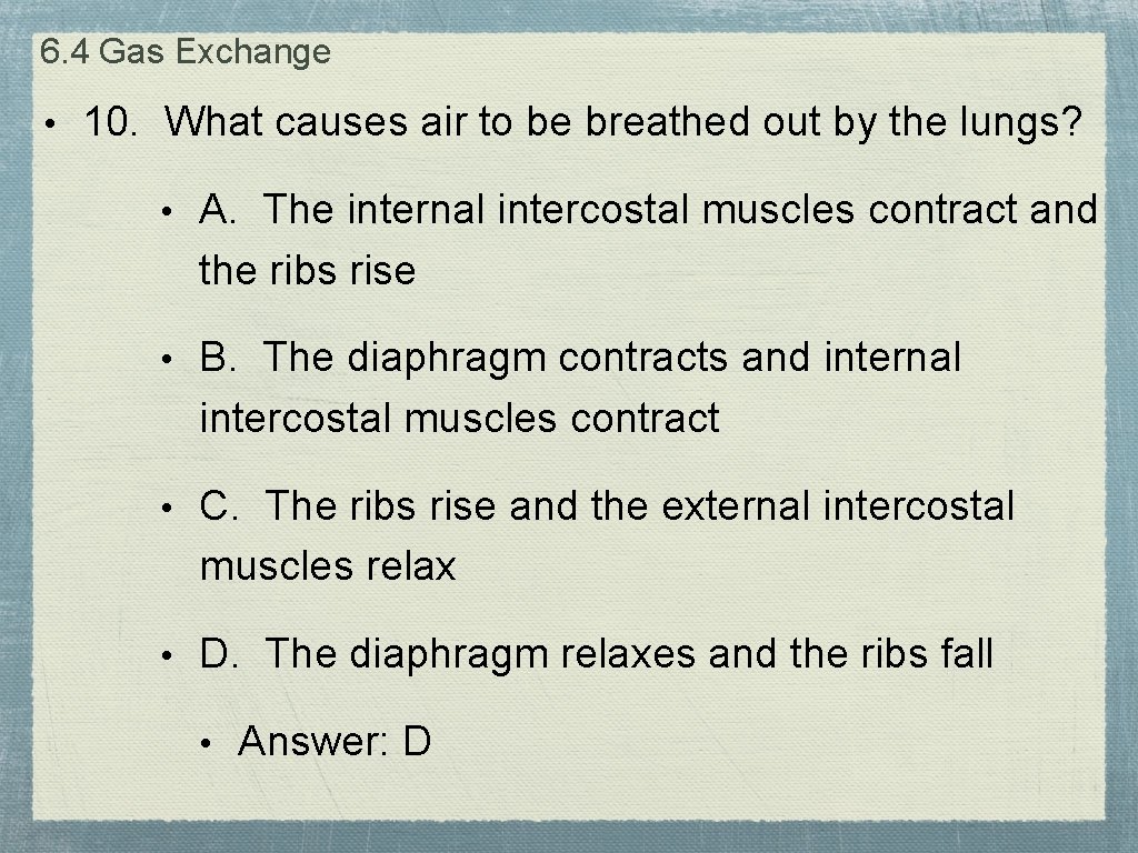 6. 4 Gas Exchange • 10. What causes air to be breathed out by