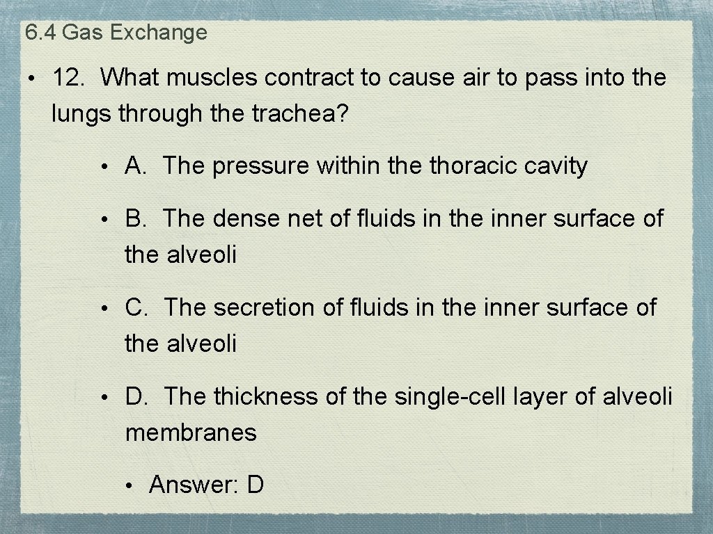 6. 4 Gas Exchange • 12. What muscles contract to cause air to pass