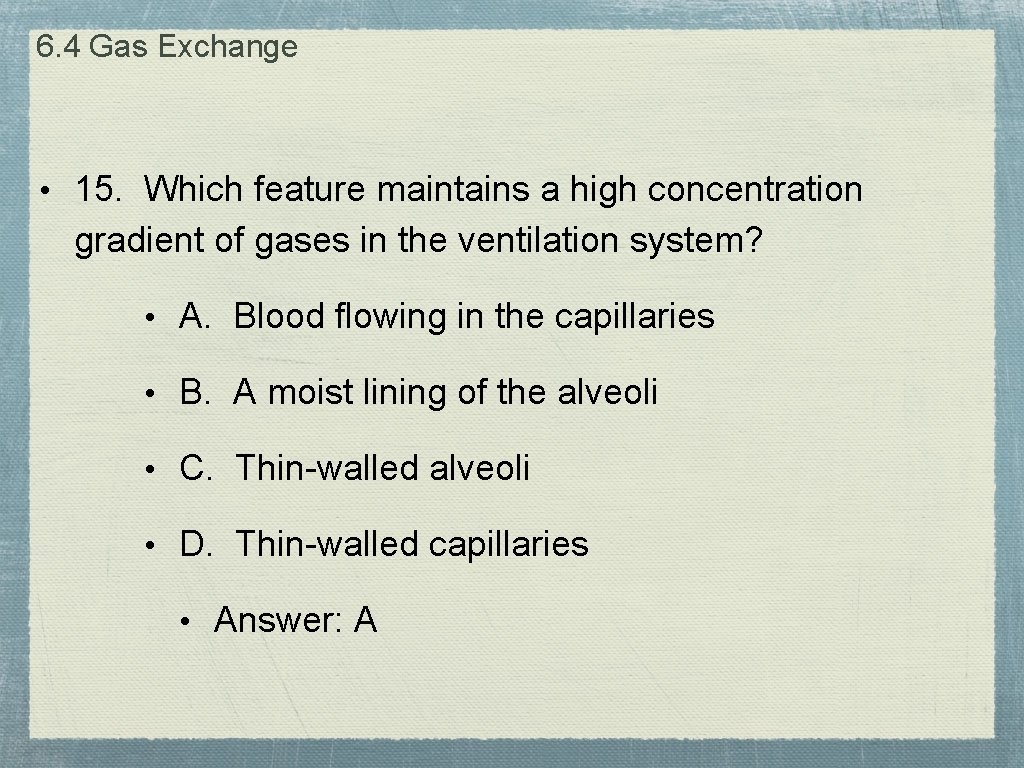 6. 4 Gas Exchange • 15. Which feature maintains a high concentration gradient of