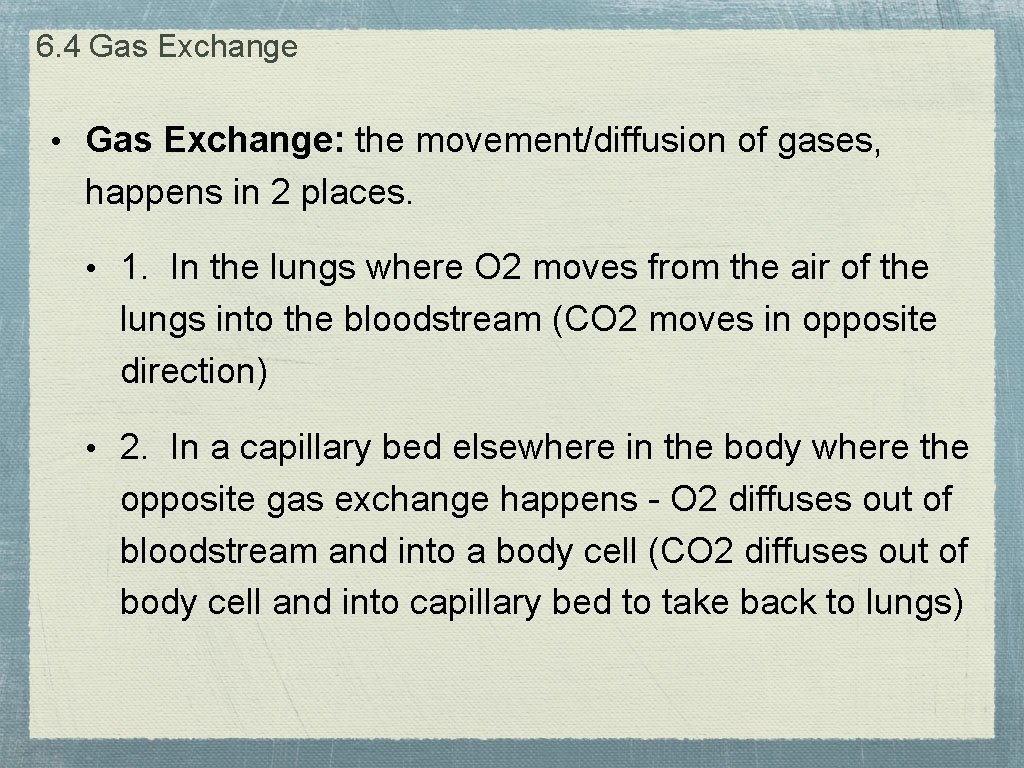 6. 4 Gas Exchange • Gas Exchange: the movement/diffusion of gases, happens in 2