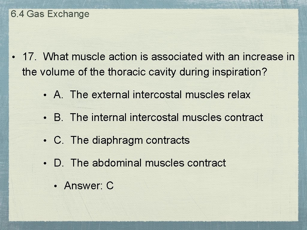 6. 4 Gas Exchange • 17. What muscle action is associated with an increase