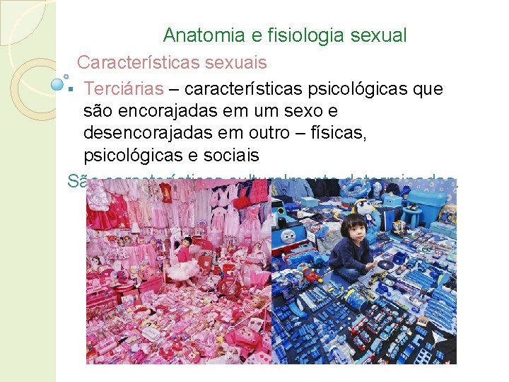 Anatomia e fisiologia sexual Características sexuais § Terciárias – características psicológicas que são encorajadas