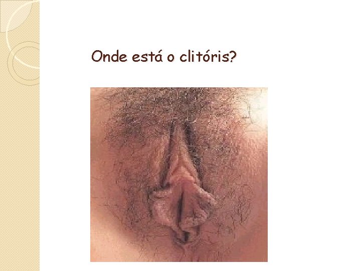 Onde está o clitóris? 