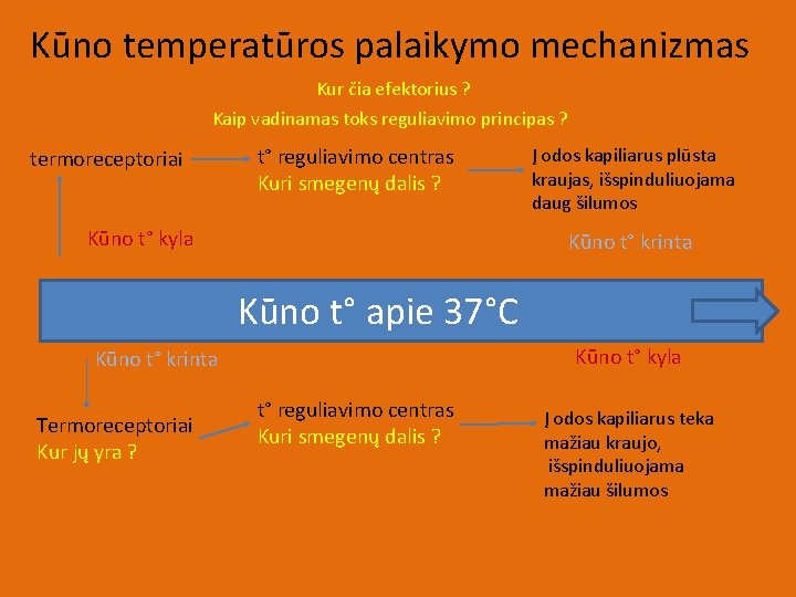 Kūno temperatūros palaikymo mechanizmas Kur čia efektorius ? Kaip vadinamas toks reguliavimo principas ?