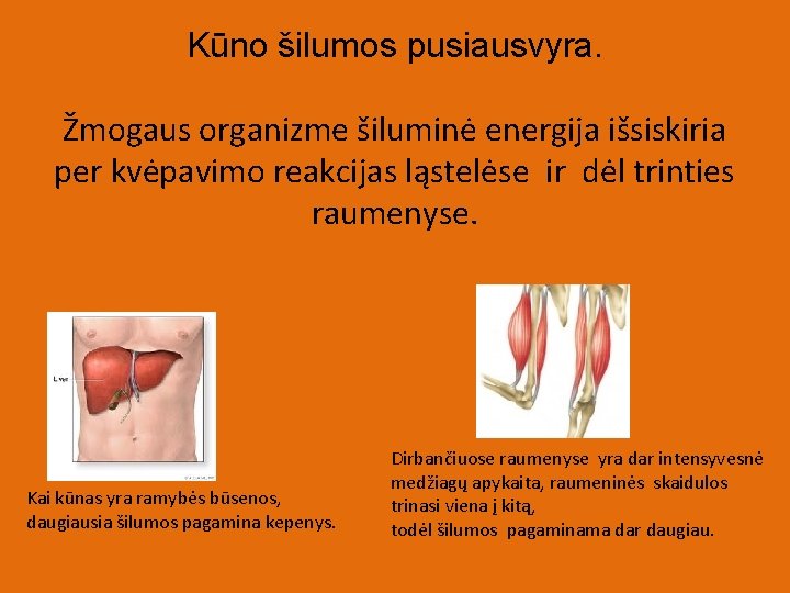 Kūno šilumos pusiausvyra. Žmogaus organizme šiluminė energija išsiskiria per kvėpavimo reakcijas ląstelėse ir dėl